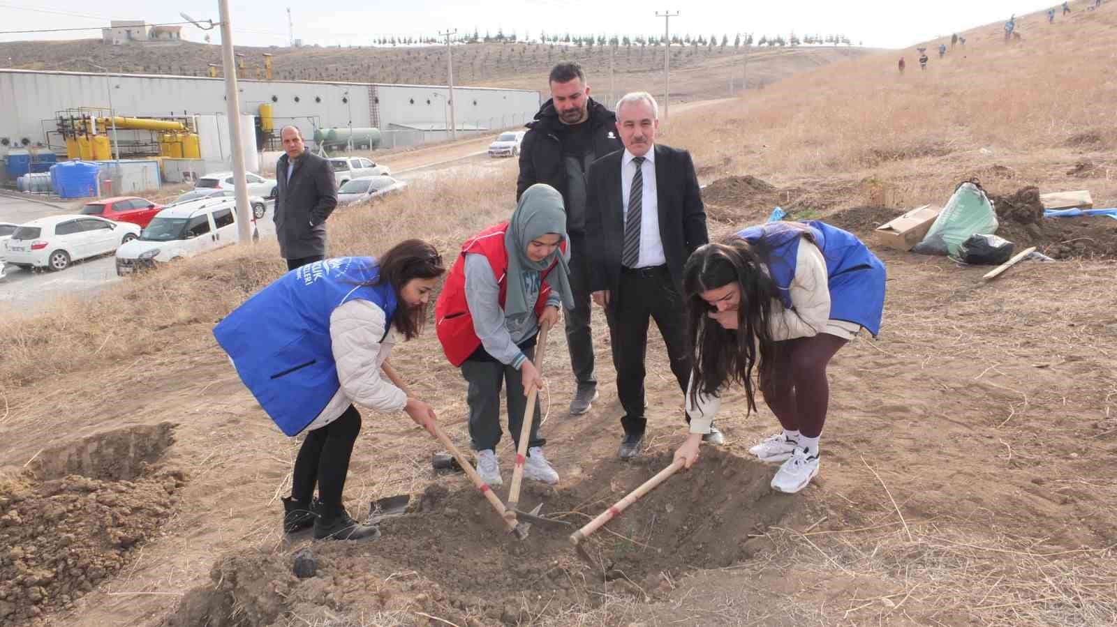 Sungurlu OSB’de bin fidan toprakla buluştu