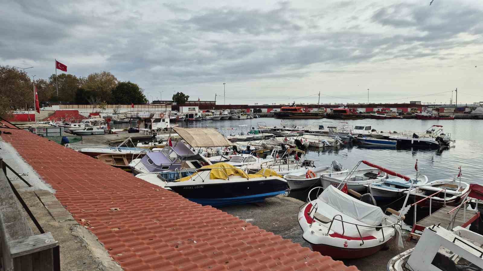 Karadeniz&rsquo;den umutlu haber geldi: Balık&ccedil;ılar bayram edecek
