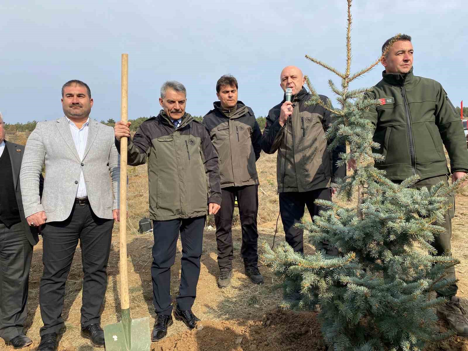 Yozgat Çamlık Bal Ormanı’nda fidanlar toprakla buluştu