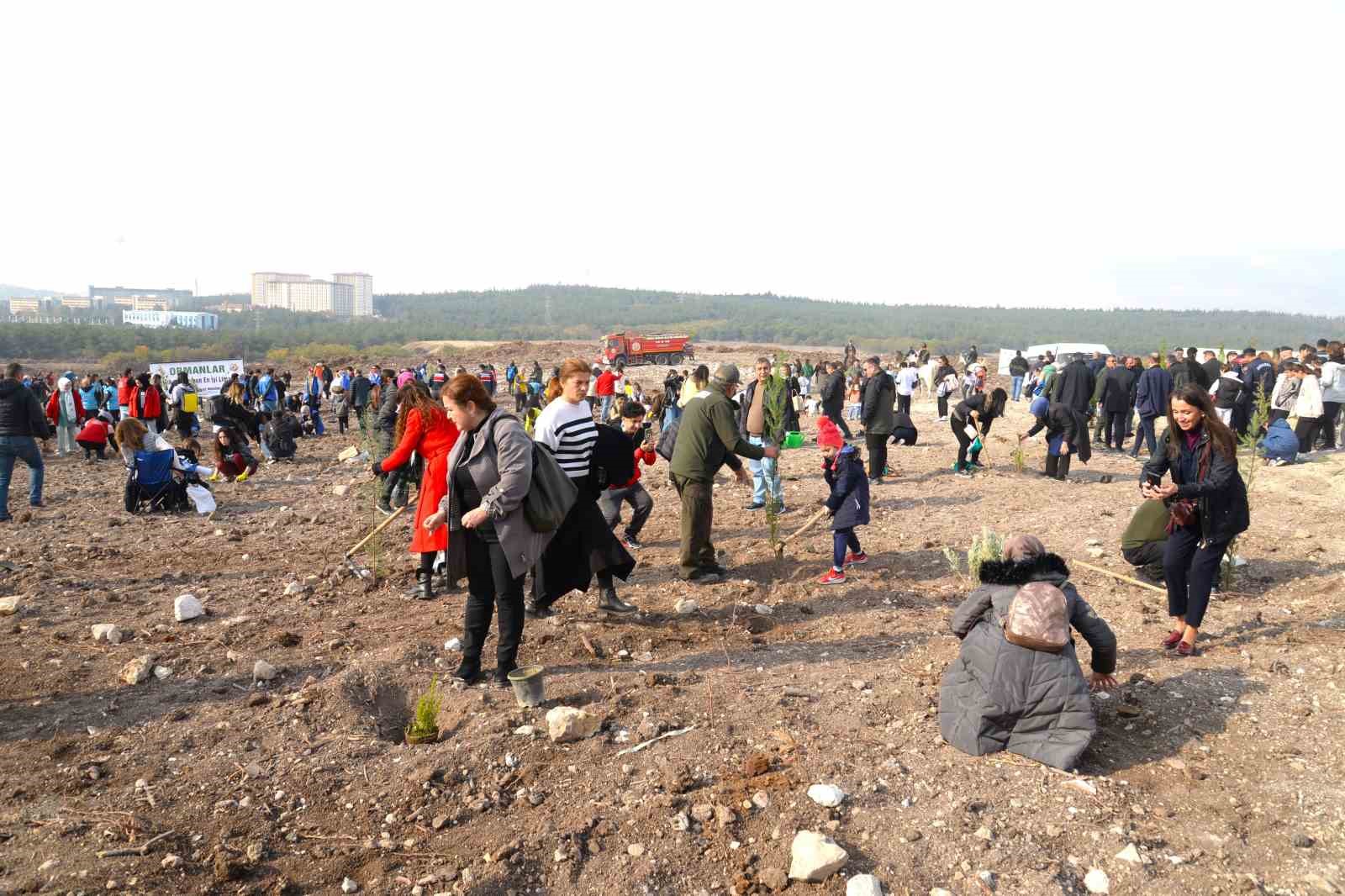 Bursa Uludağ Üniversitesi&rsquo;nin yanan ormanları yeniden yeşeriyor