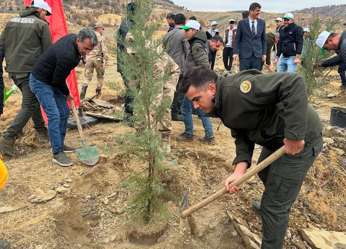 Sincik’te 100 fidan toprakla buluştu