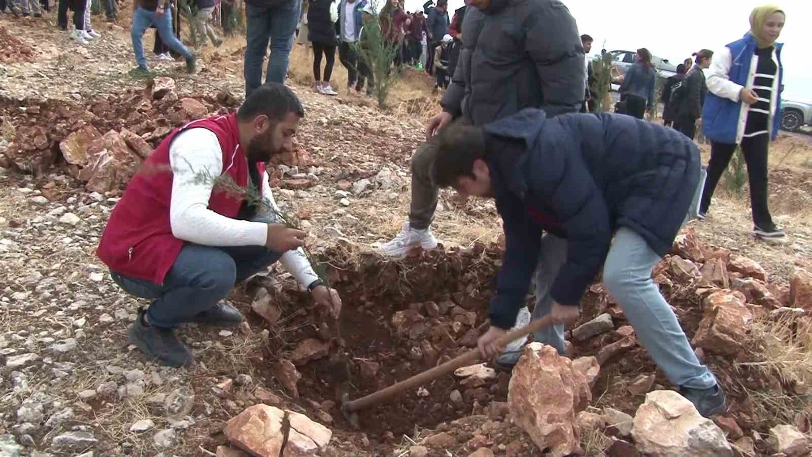 Adıyaman’da 11 bin fidan toprakla buluştu
