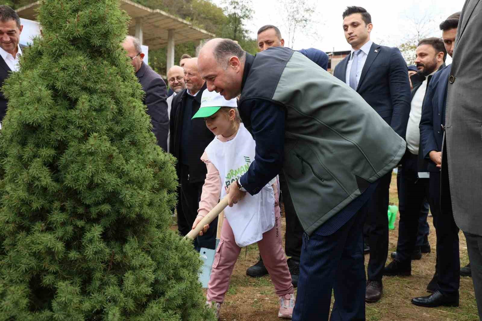 Giresun’da 1 milyon ağaç toprakla buluşacak