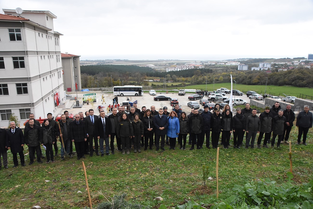 Sinop’ta 11 bin 610 fidan toprakla buluştu