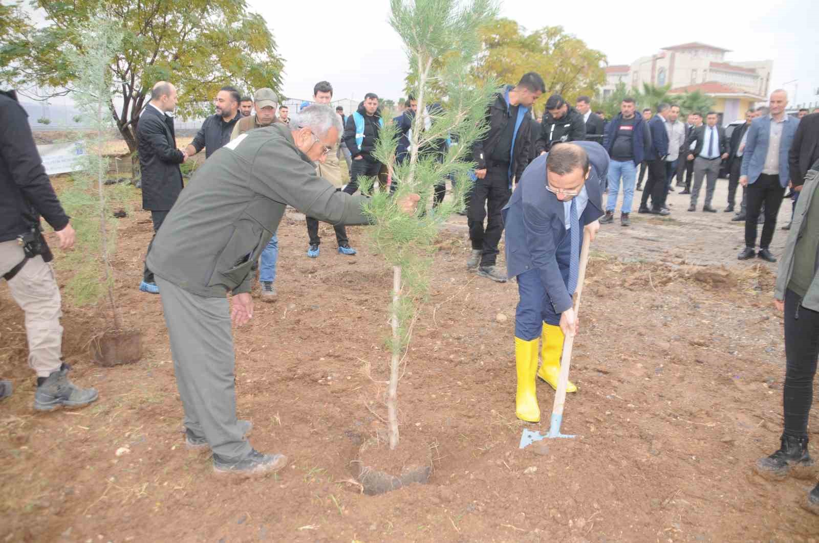 Milli Ağaçlandırma Günü’nde Cizre’de fidanlar toprakla buluştu