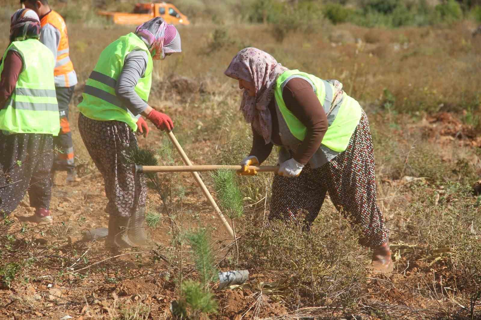 Fethiye’de geleceğe nefes için 5 bin fidan toprakla buluştu
