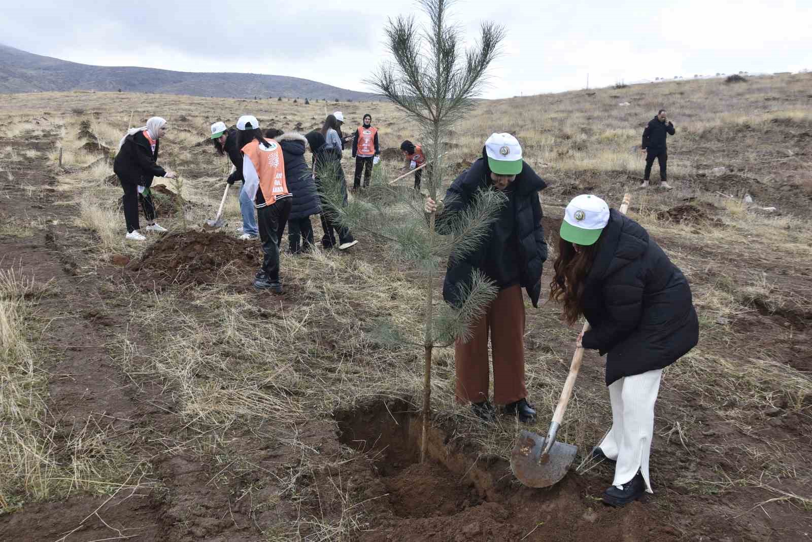 Bitlis’te bin adet fidan dikildi