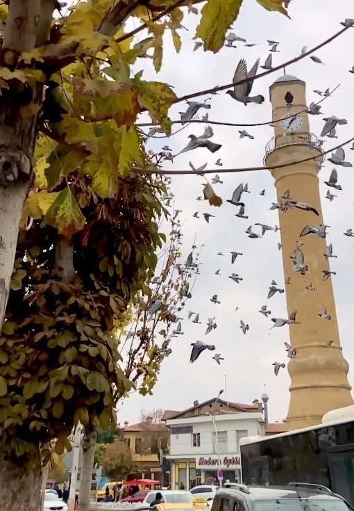 Belediyeden “Sonbaharda Çorum” kısa video yarışması
