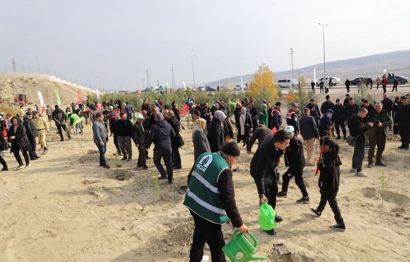 Çankırı’da fidanlar toprakla buluştu