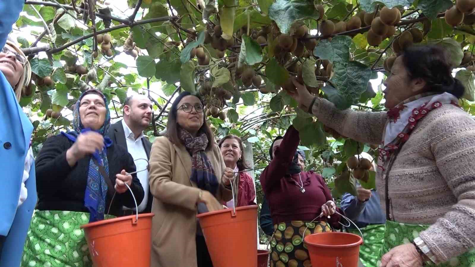 Yalova Kivisi Hasat Şenliği renkli görüntülere sahne oldu