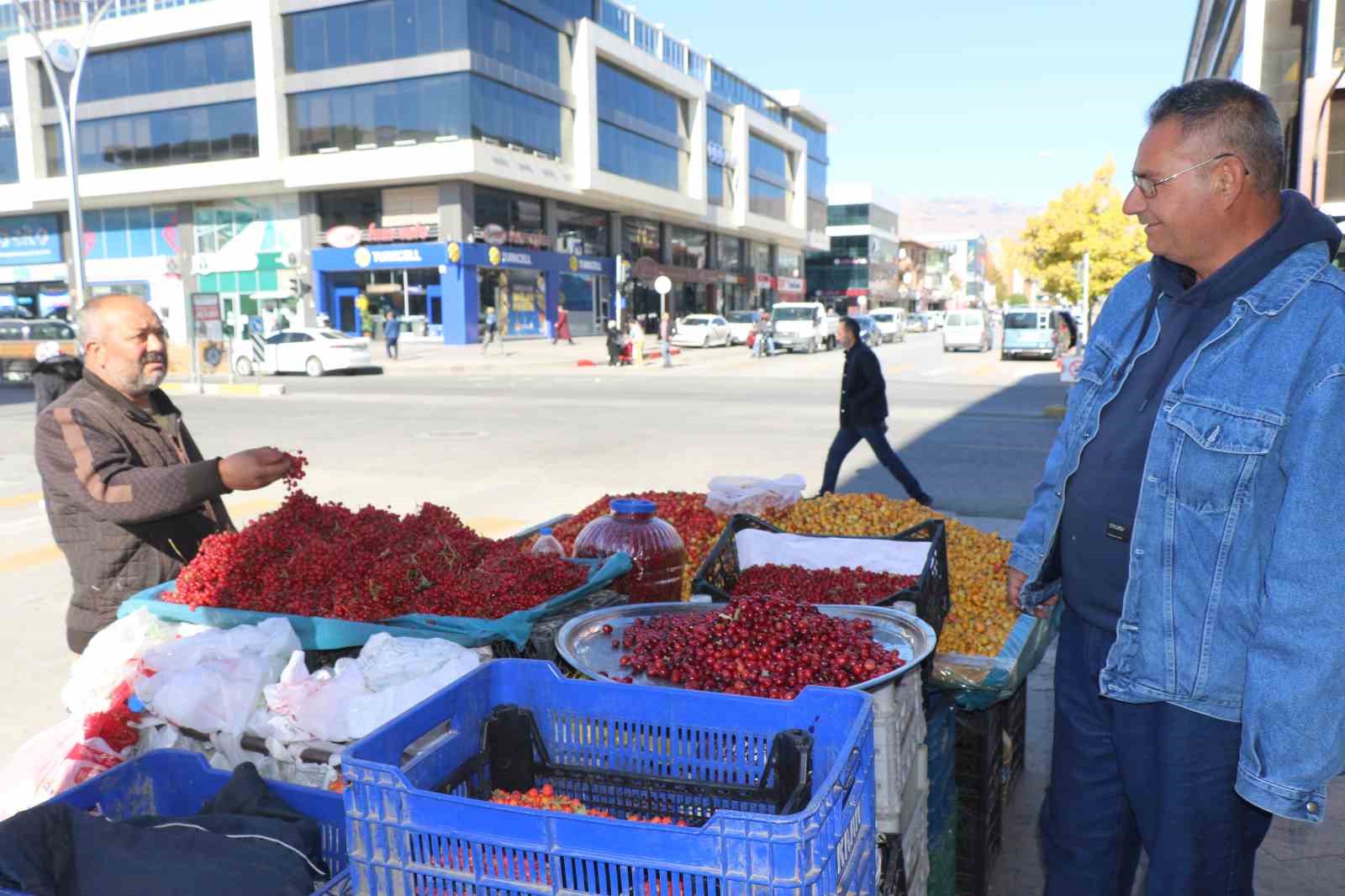 ’Seyyar doktor’ dağ bitkileriyle şifa dağıtıyor