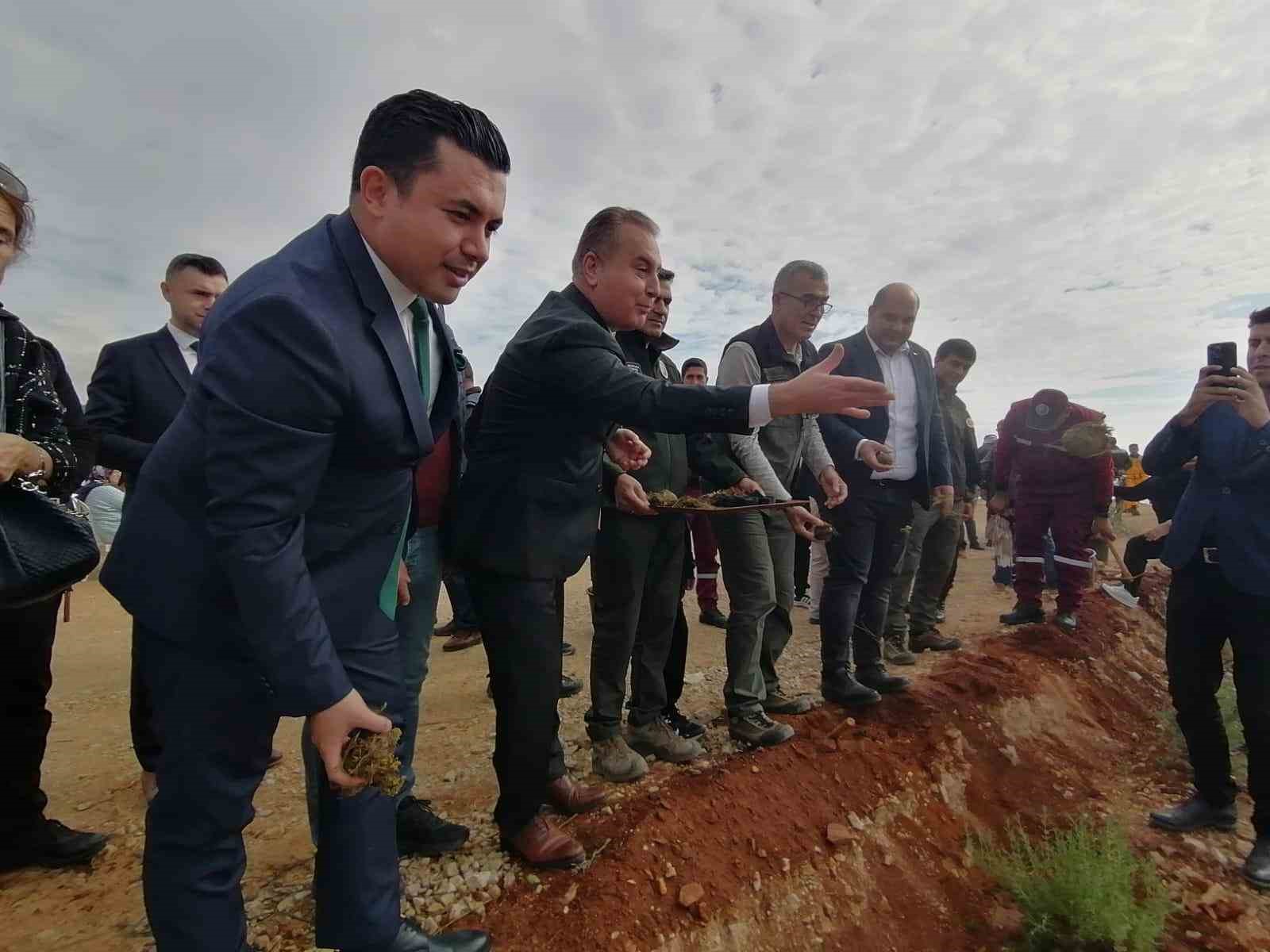 Milli Ağaçlandırma Günü’nde karbon zengini tohumlar toprakla buluşturuldu
