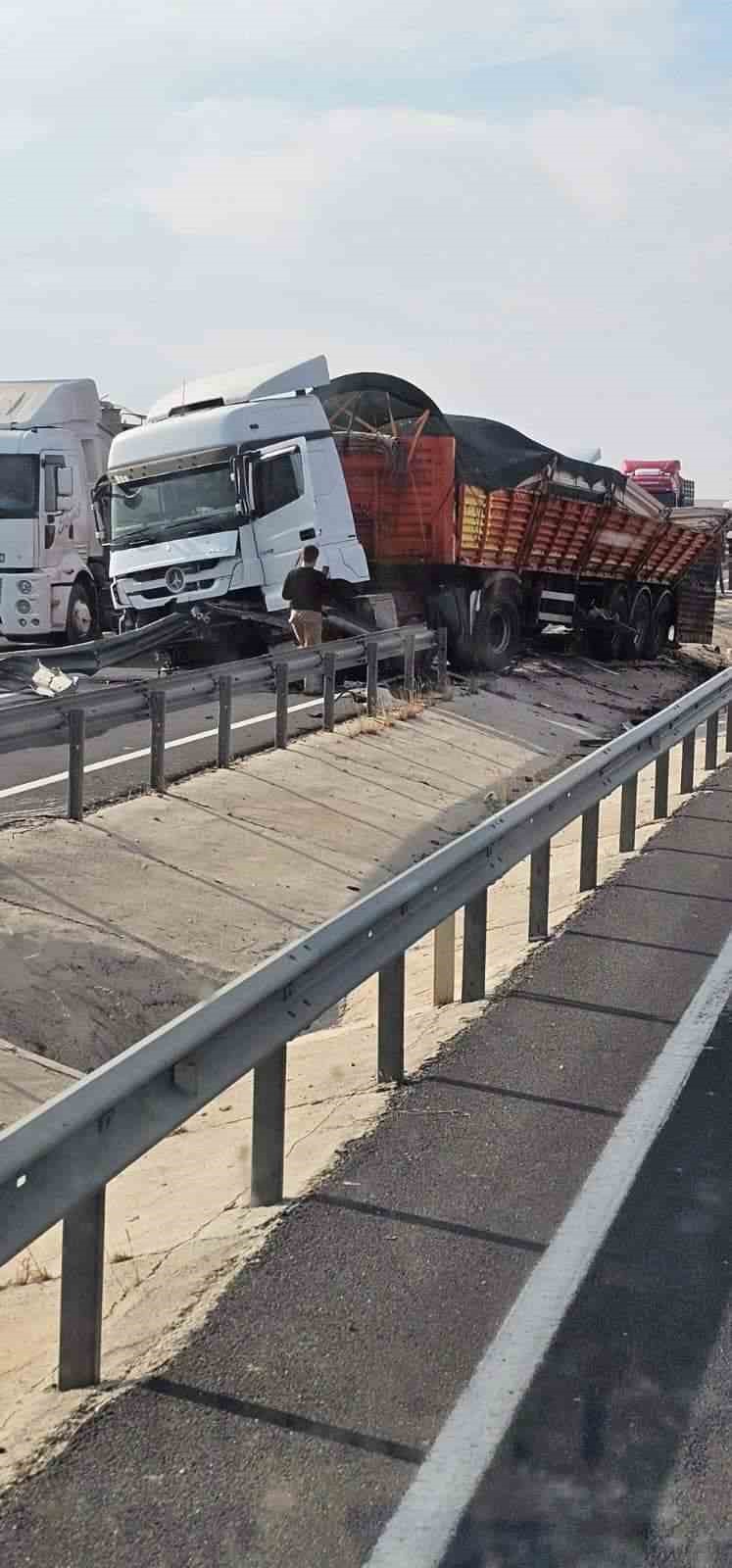 Mardin’de kaza yapan tırdaki büyükbaş hayvanlar yola çıktı