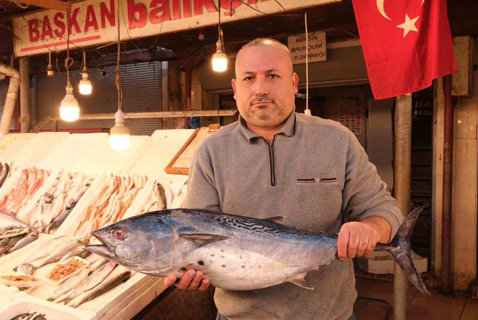 Mersin’de dev balık bin 500 liradan alıcı buldu
