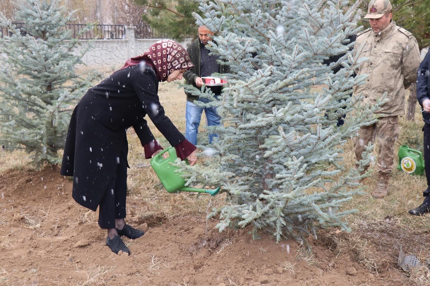 Tercan’da geleceğe nefes için fidan dikildi
