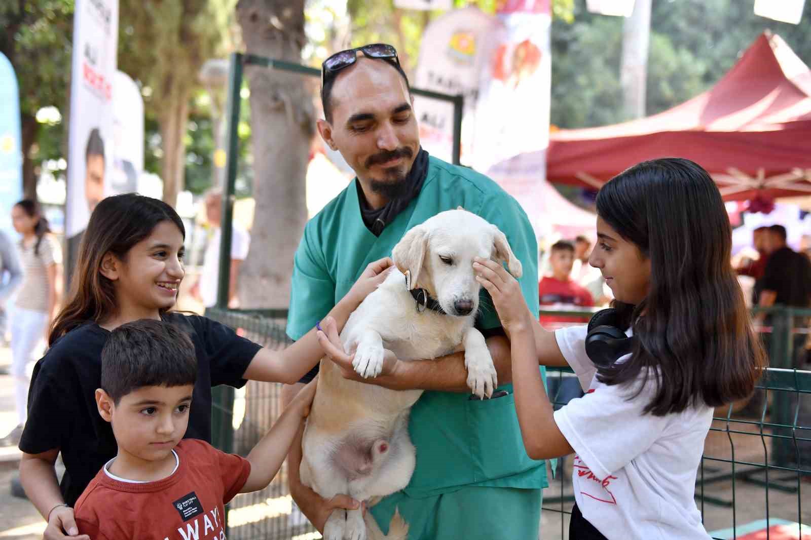 Mersin’de patili dostlar yeni yuvalarına kavuştu
