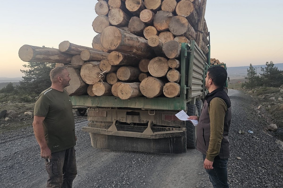 Tomruk hırsızları yakayı ele verdi: Tutuklandılar
