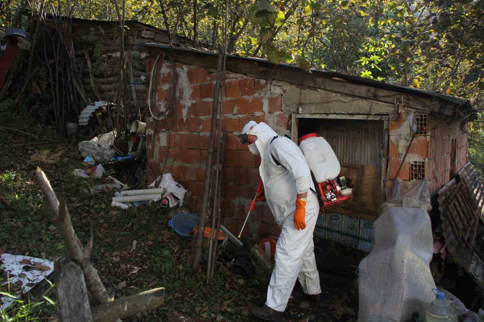 Giresun Belediyesi’nden kahverengi kokarcayla mücadele
