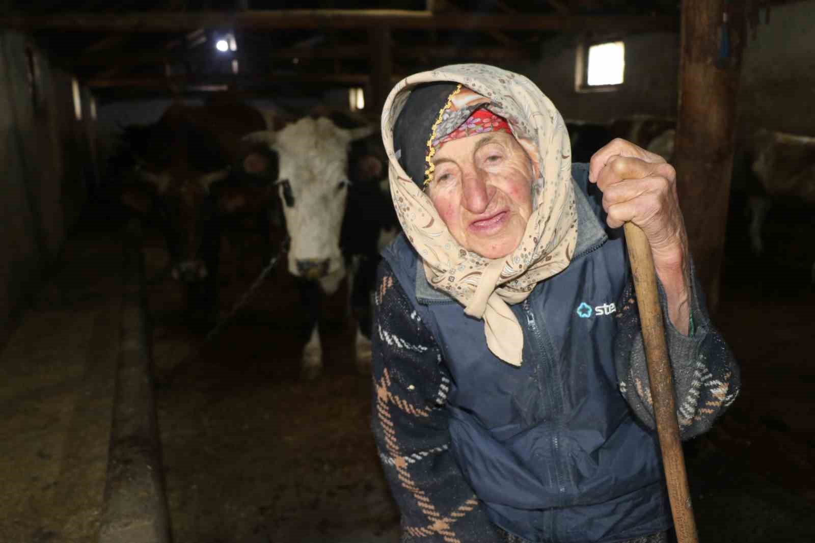 İHA’nın haberi ses getirdi: Çalışma azmiyle Türkiye’ye örnek olan Dilber nine çok arzuladığı konteynere kavuştu
