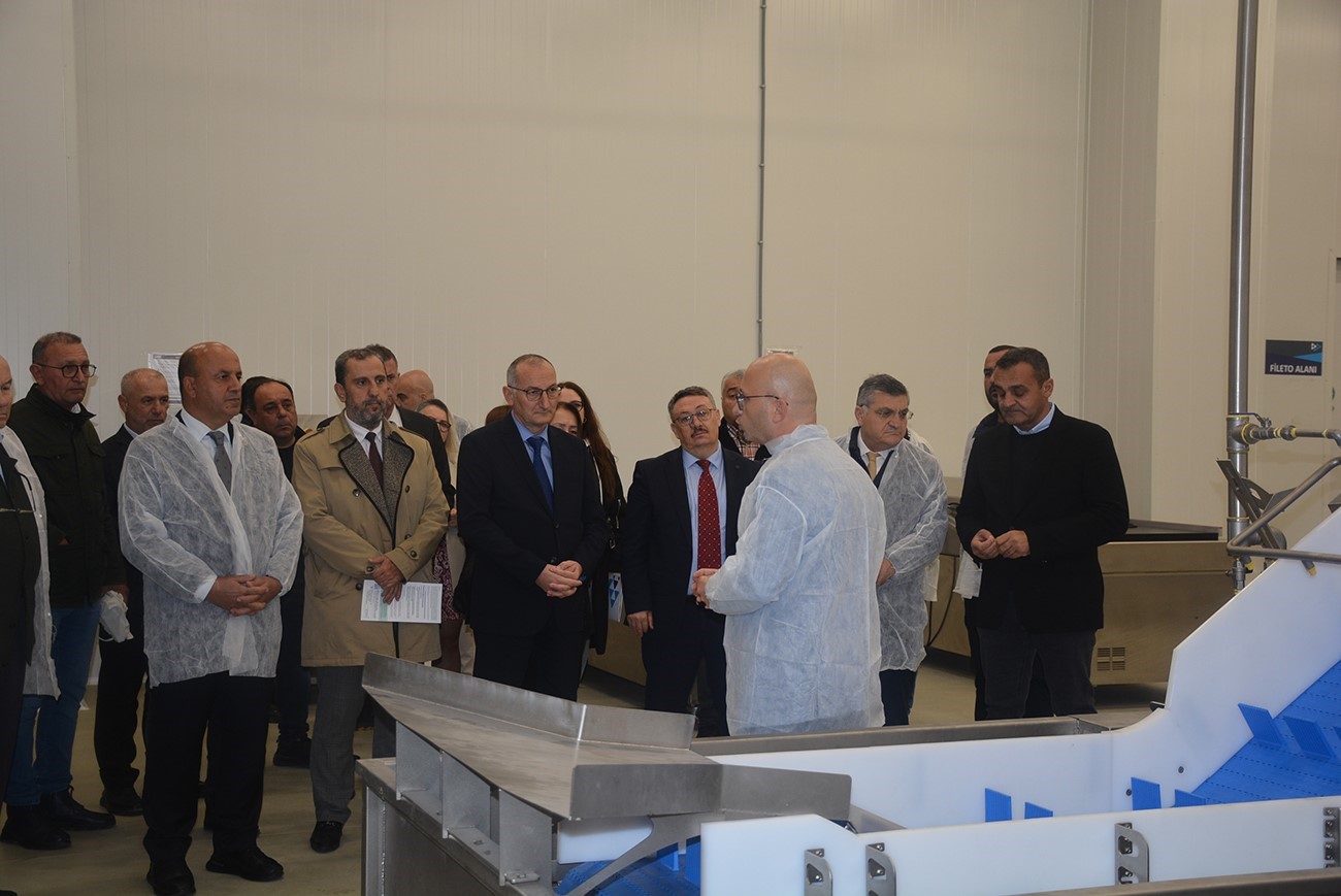 Sinop&rsquo;ta Temel Sekt&ouml;rlerin Rekabet&ccedil;iliğinin Artırılması Projesi
