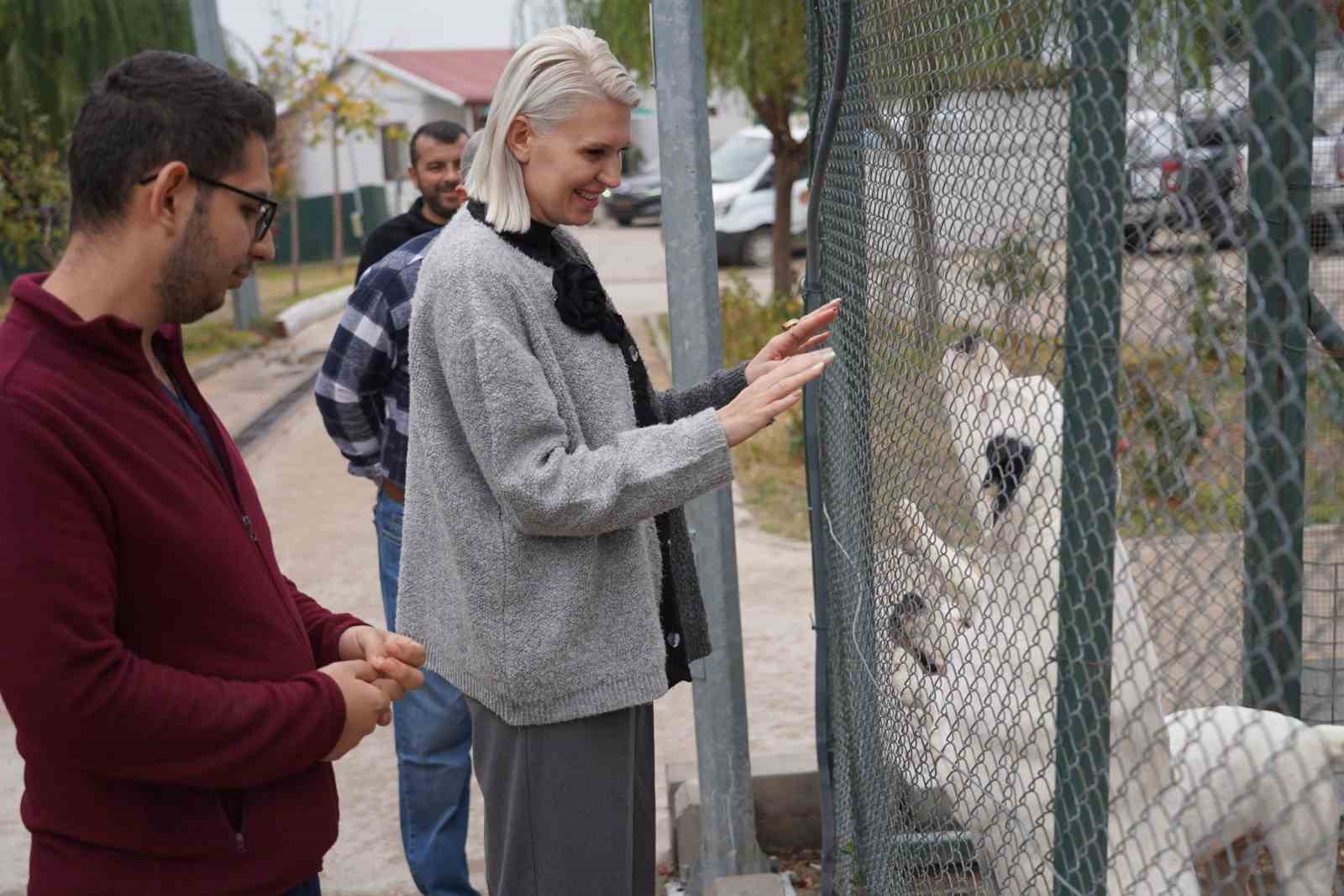 Bilecik’te sokak hayvanları için ücretsiz mama üretiliyor
