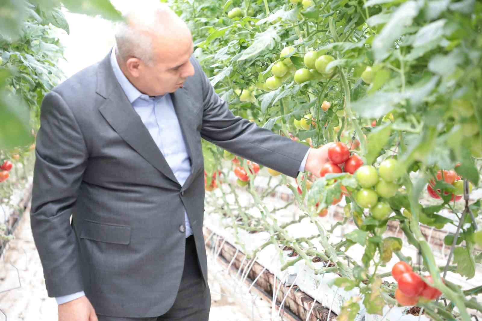 Vali Ko&ccedil; jeotermal sera alanında incelemelerde bulundu
