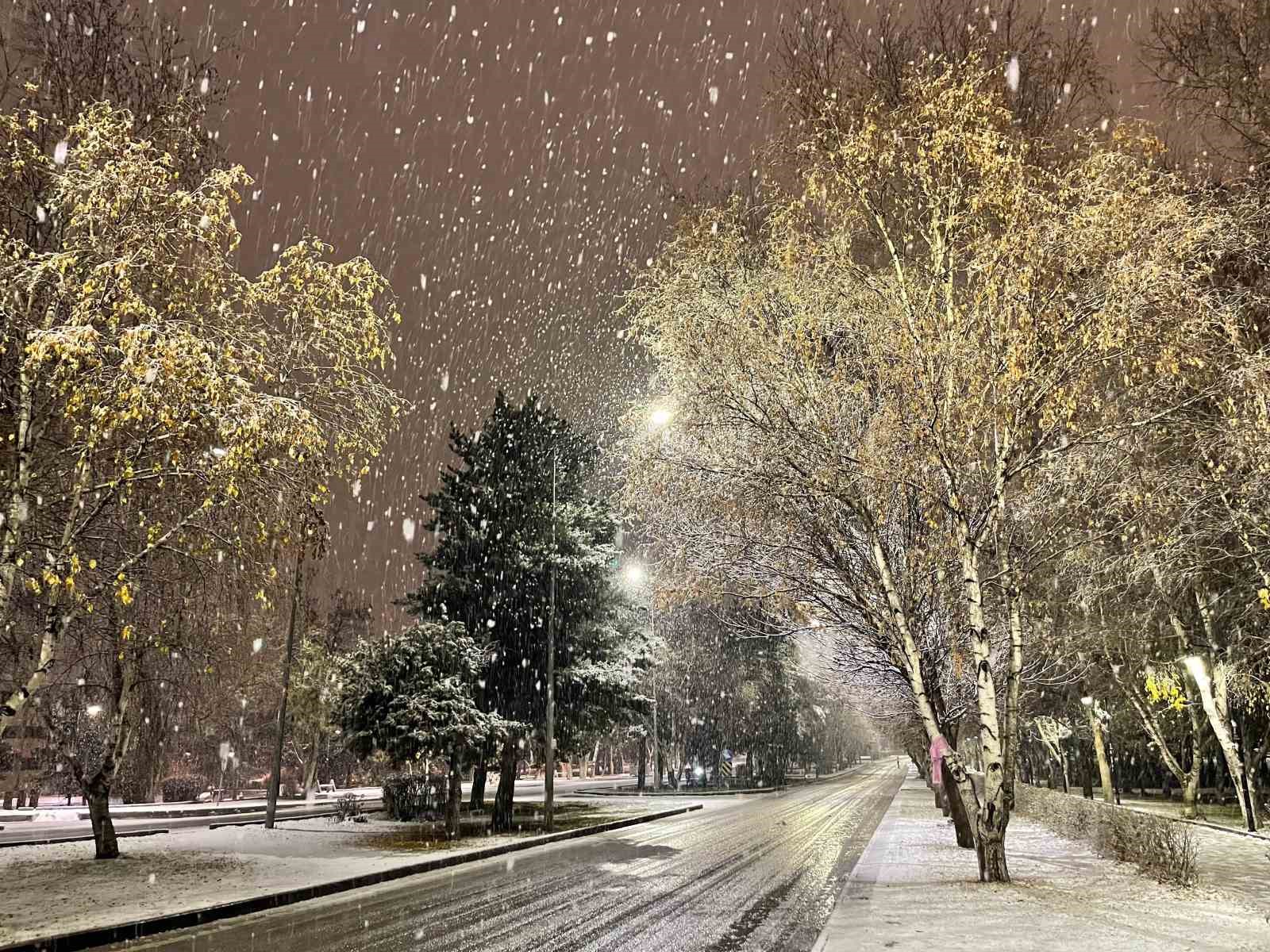 Erzurum’da kar yağışı etkili oluyor
