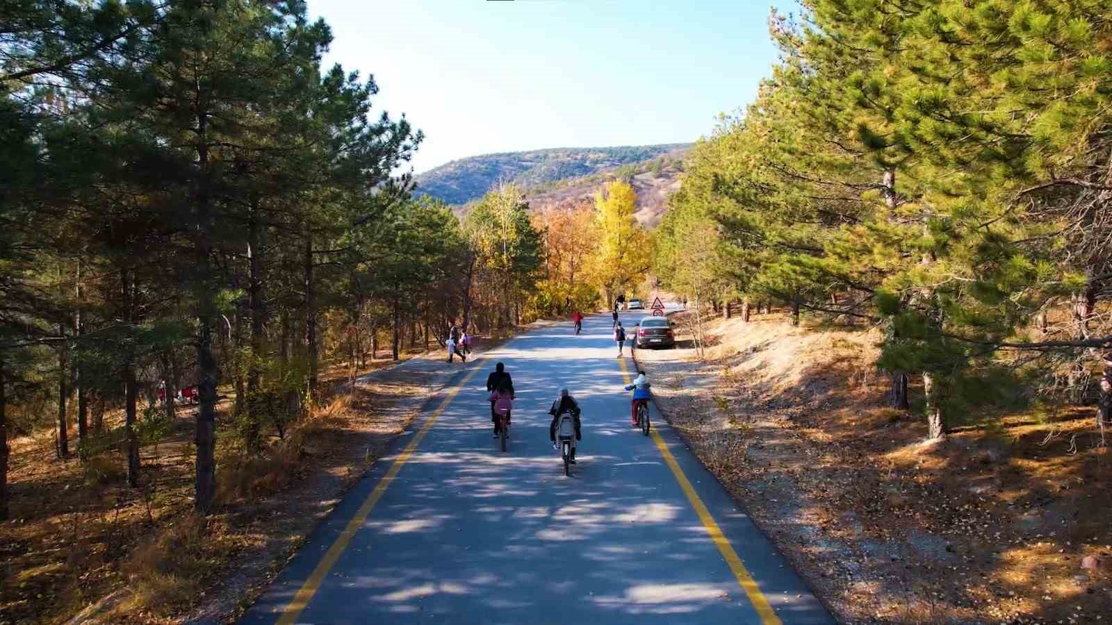 Başkent parklarında sonbahar şöleni
