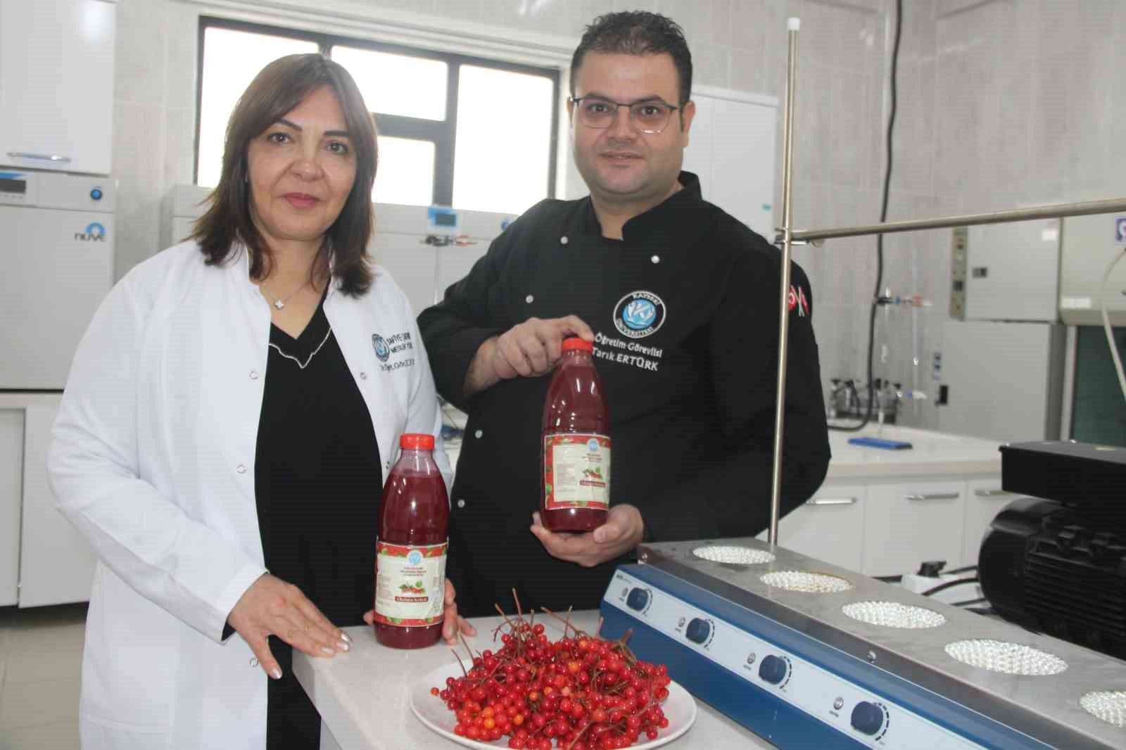 Kayseri Üniversitesi gilaburu şerbeti üretti, patent başvurusu yaptı