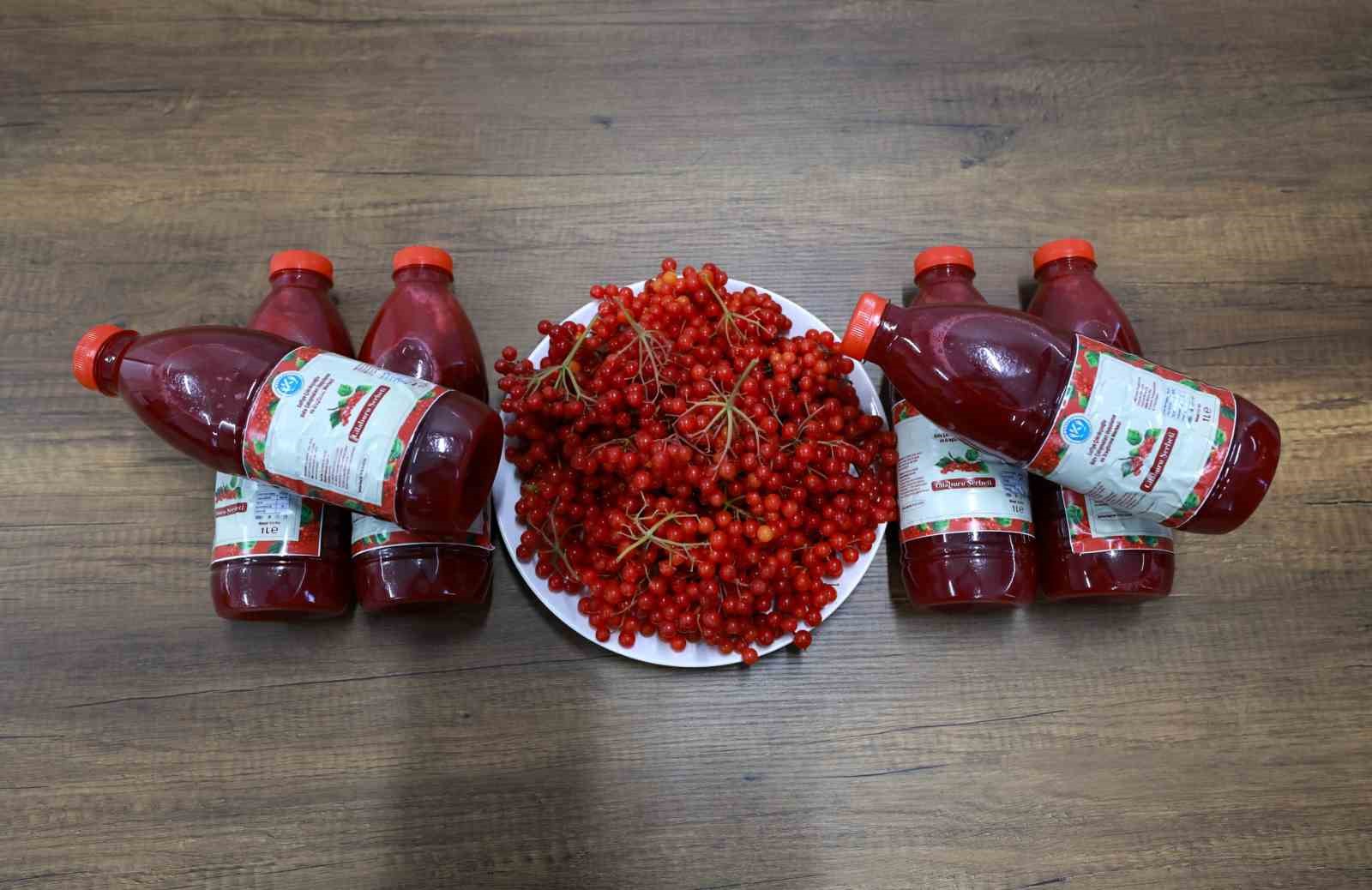 Kayseri &Uuml;niversitesi gilaburu şerbeti &uuml;retti, patent başvurusu yaptı
