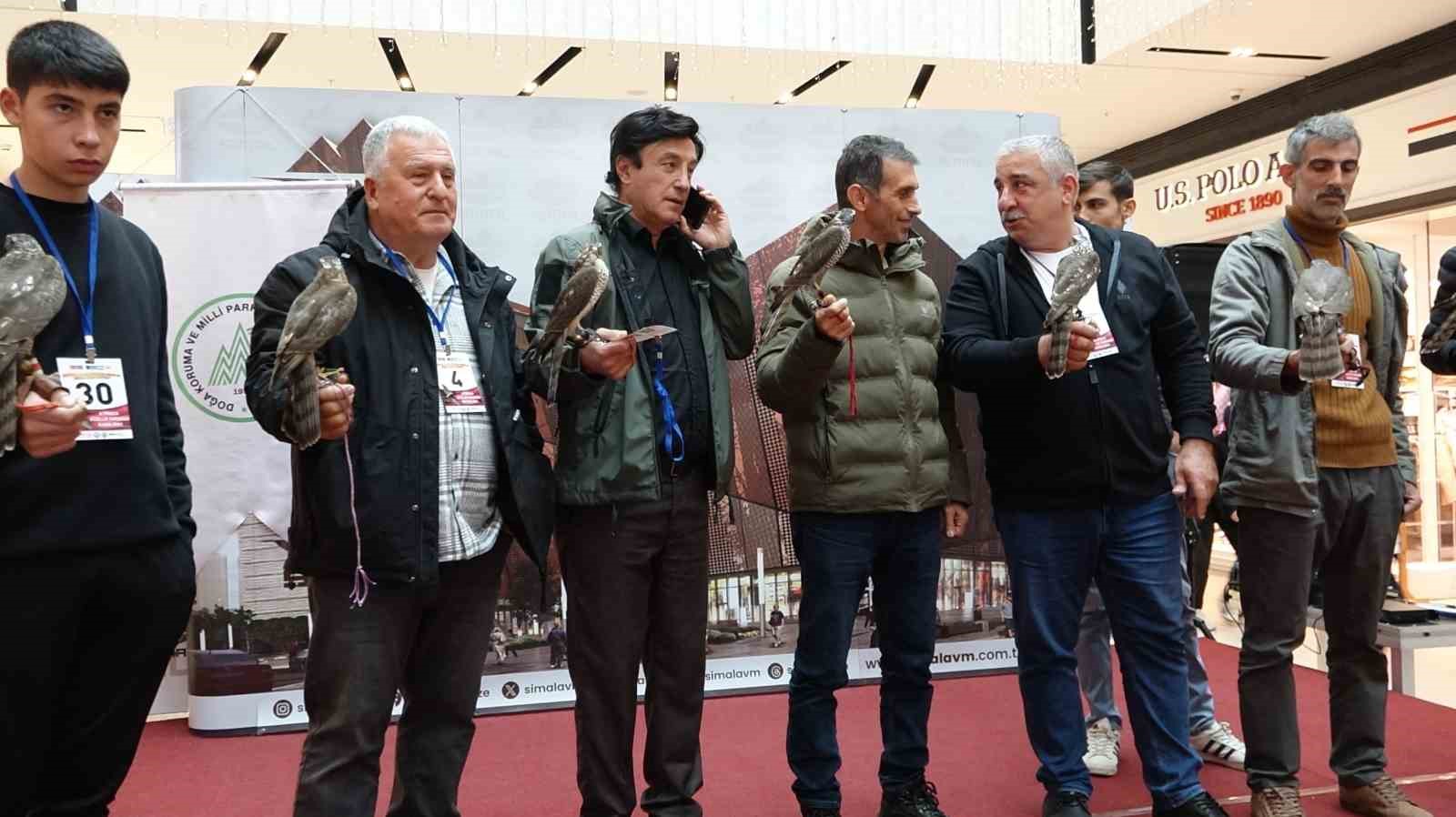 Dişi atmacalar AVM&rsquo;de kendileri i&ccedil;in d&uuml;zenlenen g&uuml;zellik yarışmasında boy g&ouml;sterdi
