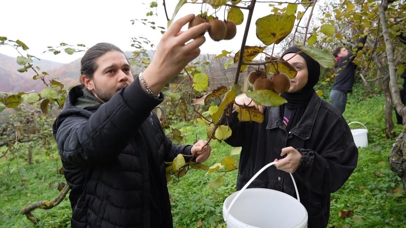 Üniversitede "dersimiz kivi hasadı"
