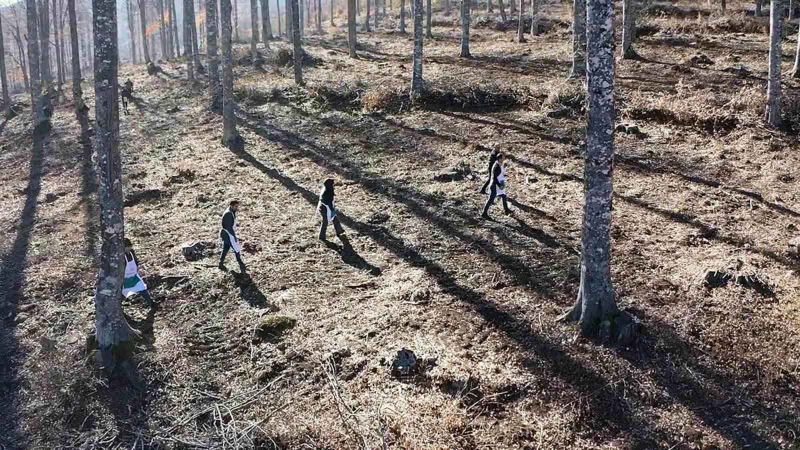 Domani&ccedil;&rsquo;te 20 hektar alana kayın tohumu ekildi
