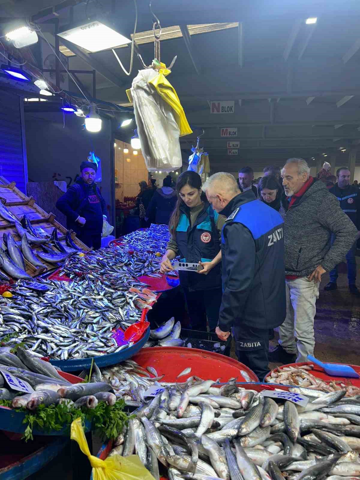 Bilecik&rsquo;te balıkların boyları teker teker &ouml;l&ccedil;&uuml;ld&uuml;
