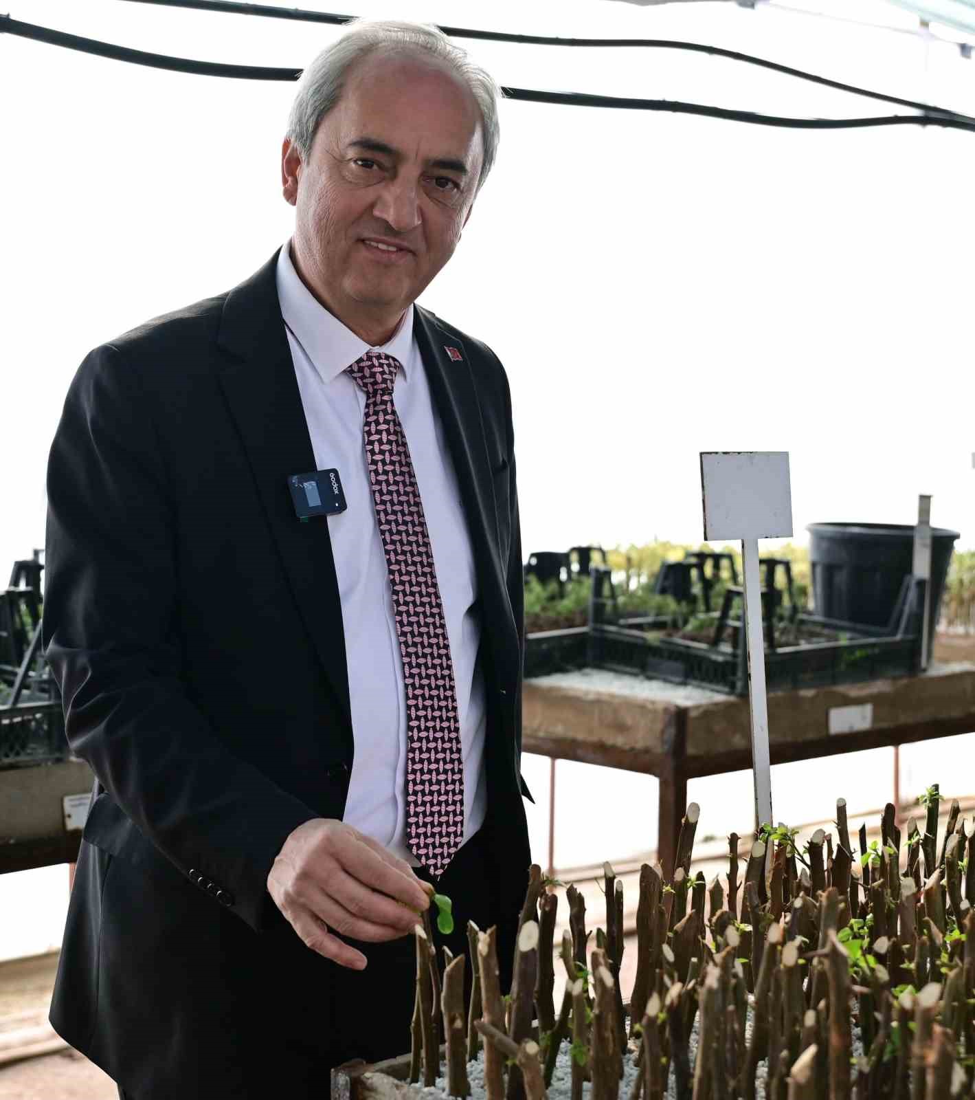 Kepez Belediyesi, il&ccedil;eyi kendi yetiştirdiği bitkilerle yeşillendiriyor
