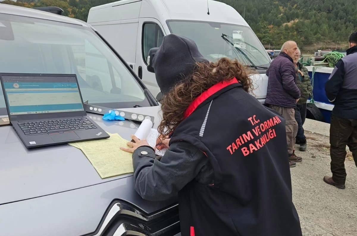 Sinop’ta balık boyu denetimleri: 5 ton balığa el konuldu