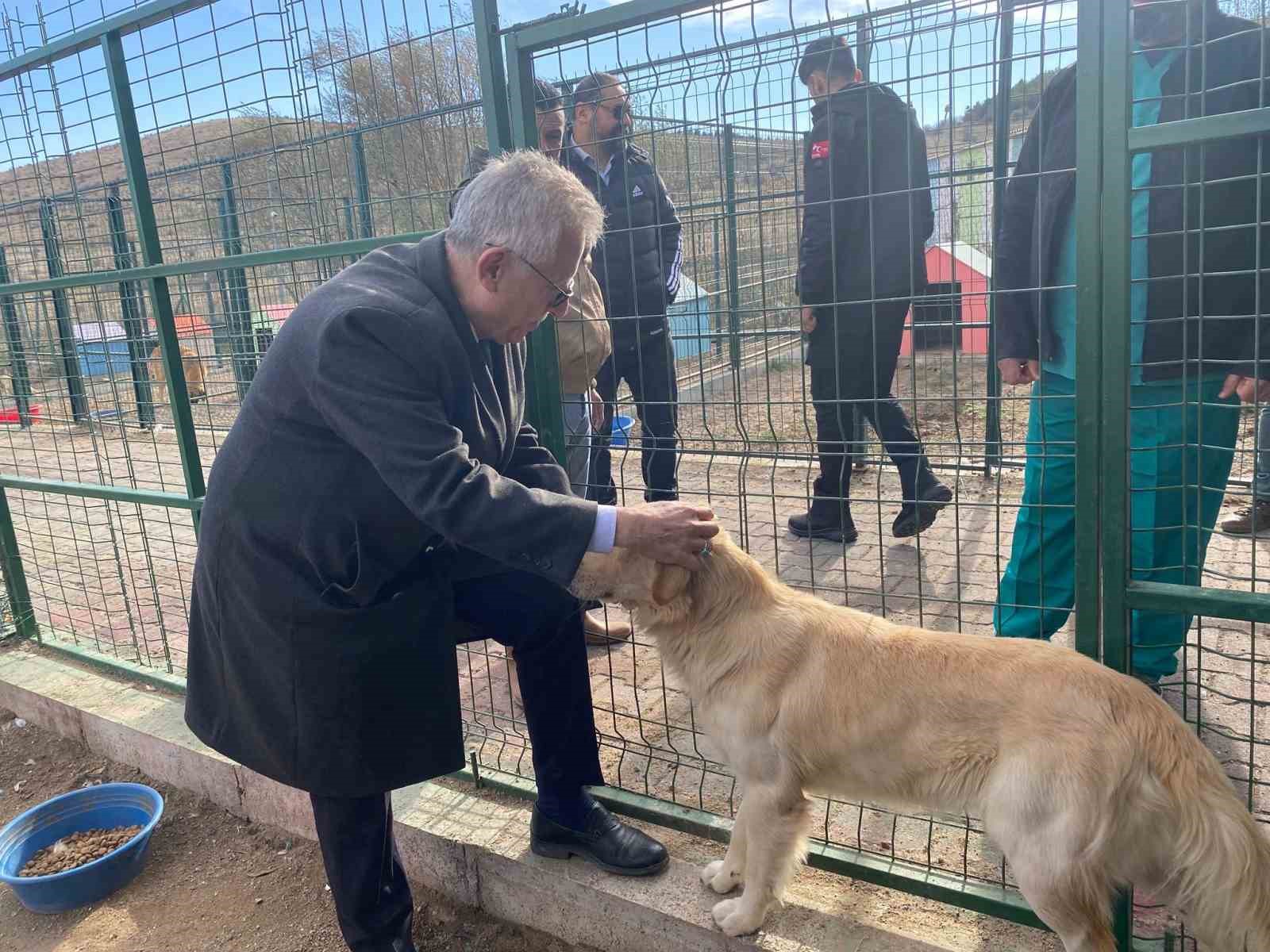 Yozgat&rsquo;taki Evcil K&ouml;y&rsquo;de &ccedil;ocuklar ve gen&ccedil;ler, patili dostlarla buluştu
