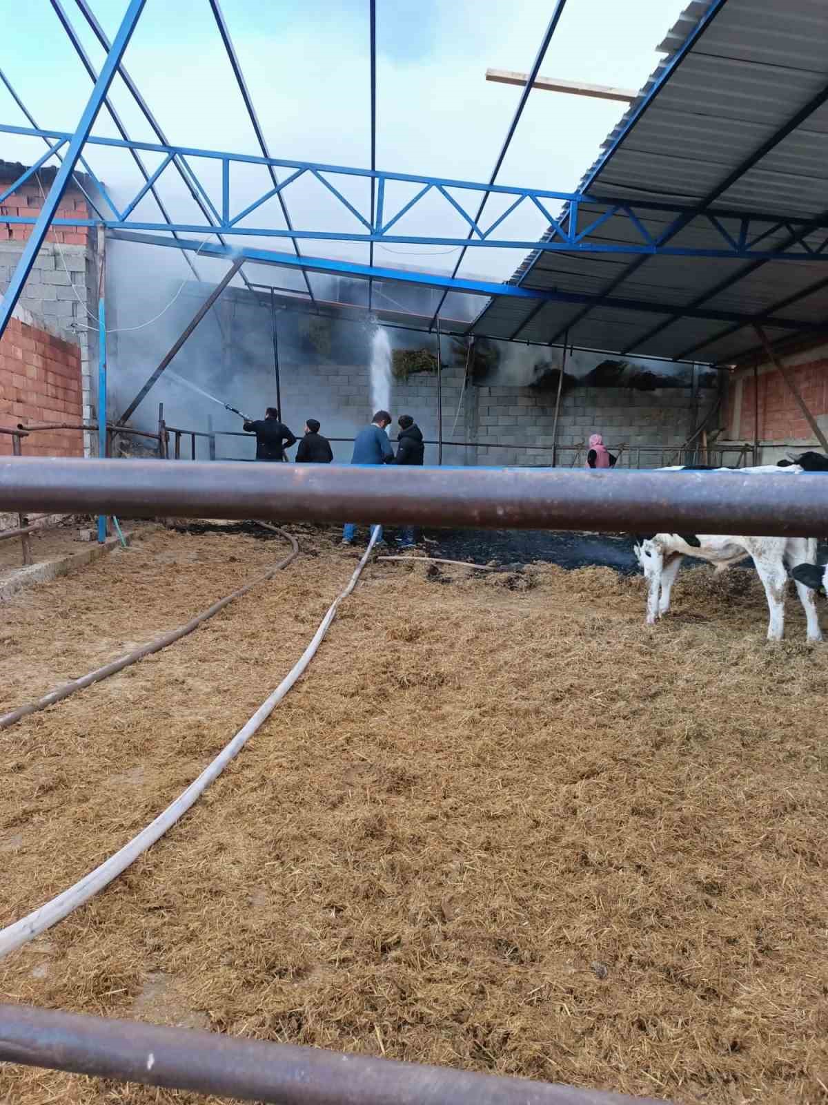 Yalva&ccedil;&rsquo;ta besihane yangını: 17 hayvan telef oldu, tonlarca yem yanarak k&uuml;le d&ouml;nd&uuml;

