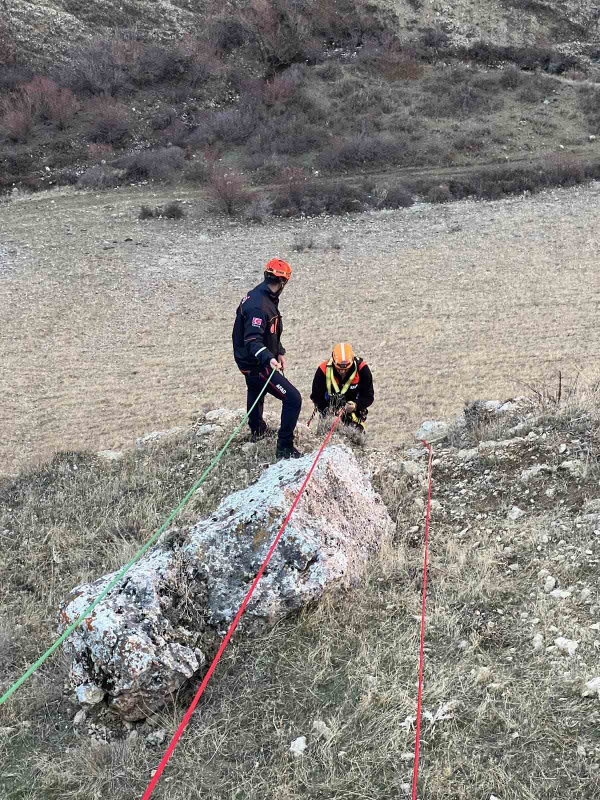 Muş’ta kayalıkta mahsur kalan keçiler kurtarıldı