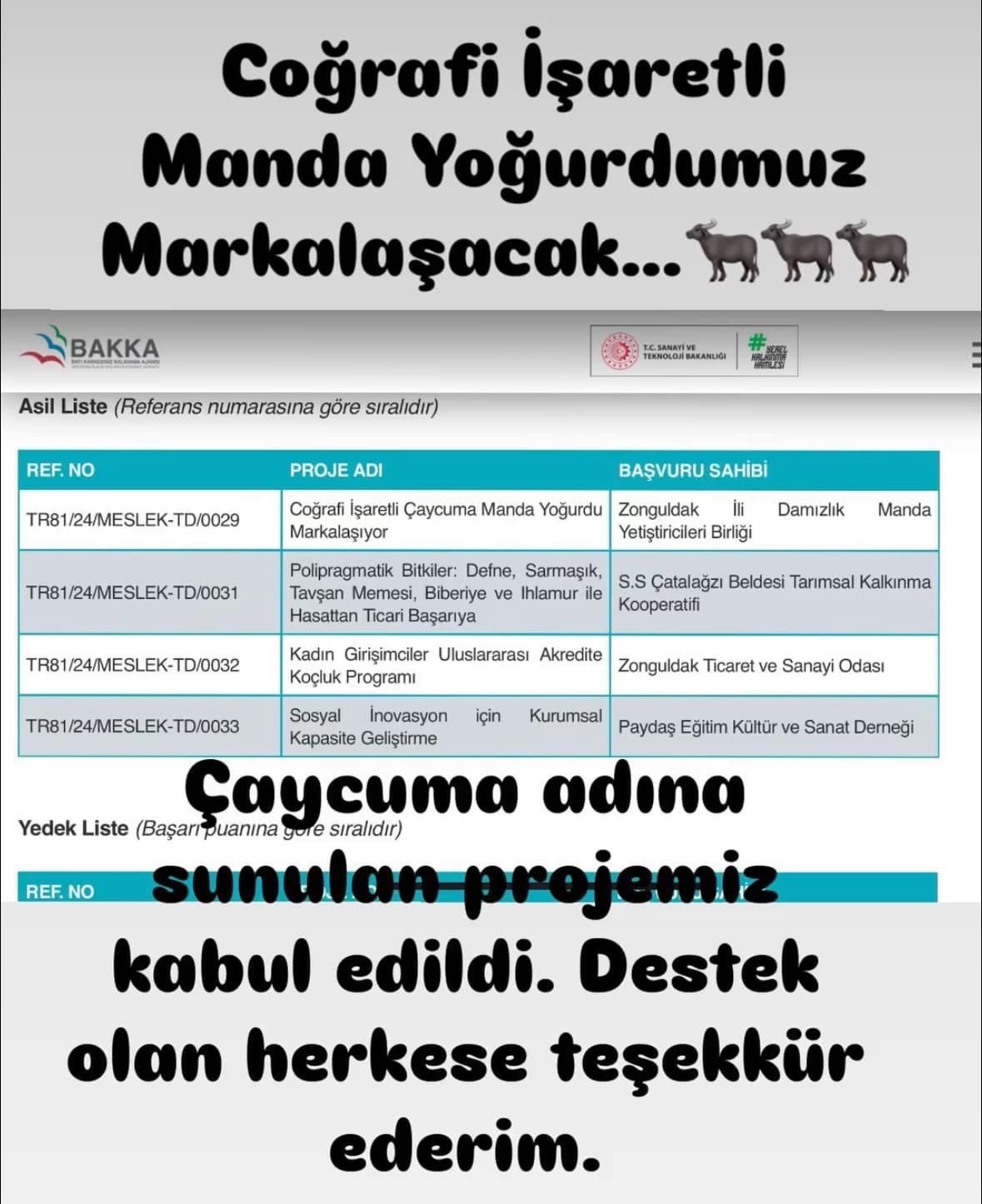 Coğrafi işaretli Çaycuma manda yoğurdu markalaşıyor
