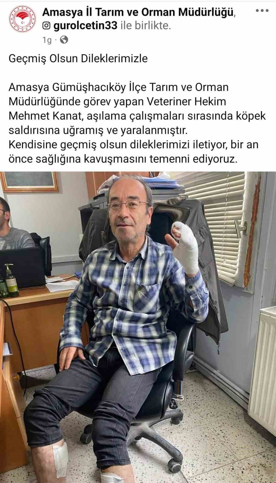 Amasya&rsquo;da veteriner hekime k&ouml;pek saldırdı
