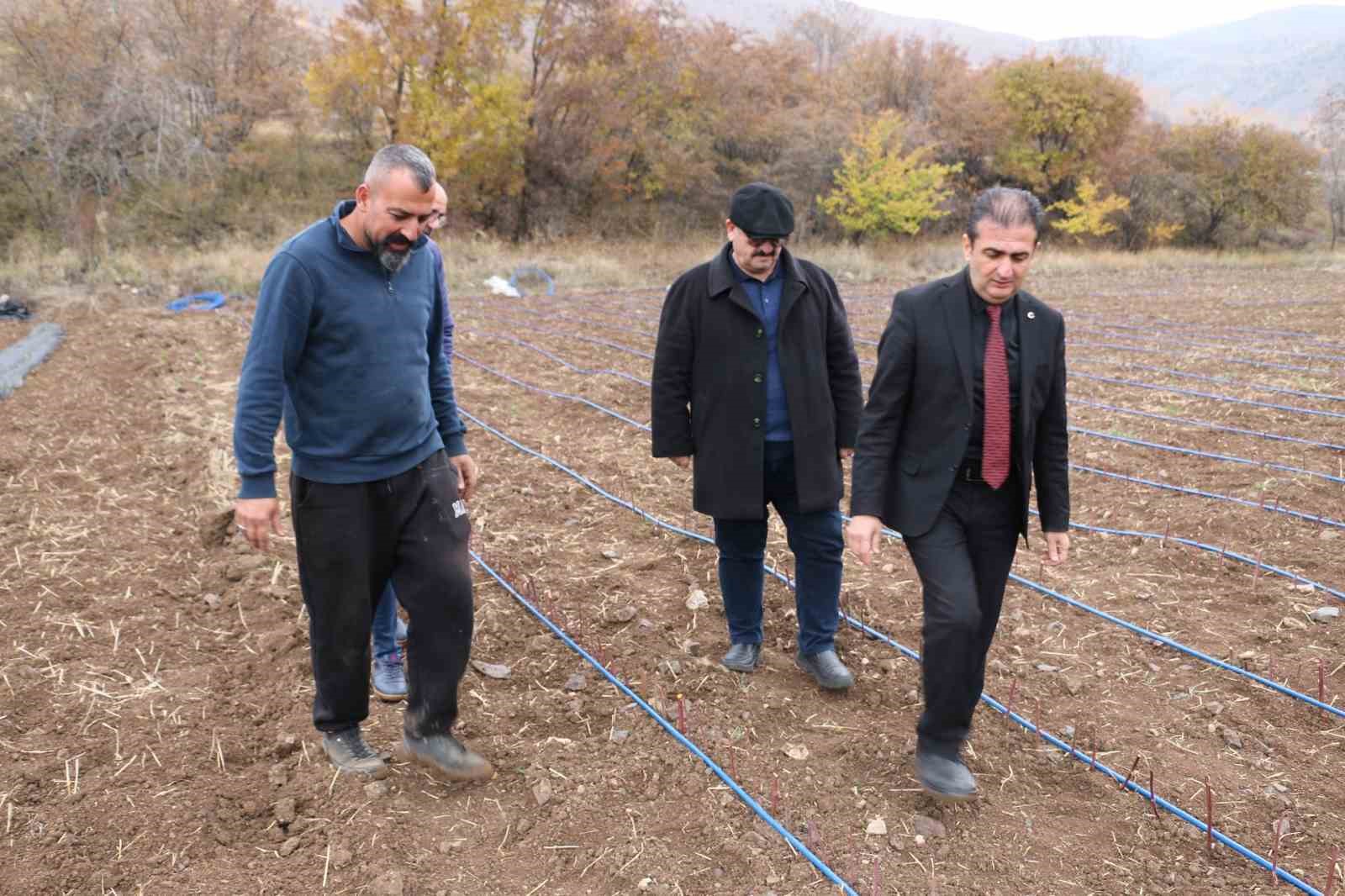 Erzincan&rsquo;da b&ouml;ğ&uuml;rtlen yetiştiriciliği yaygınlaşıyor
