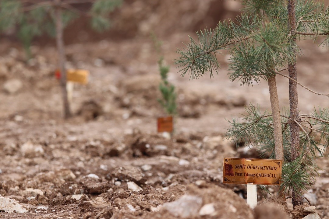 Şehit öğretmenler anısına hatıra ormanı oluşturuldu
