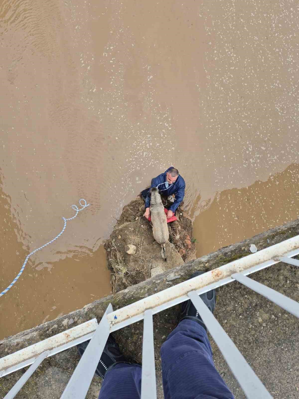 Edremit &Ccedil;ayı&rsquo;nda mahsur kalan k&ouml;peği itfaiyeci suya girerek kurtardı
