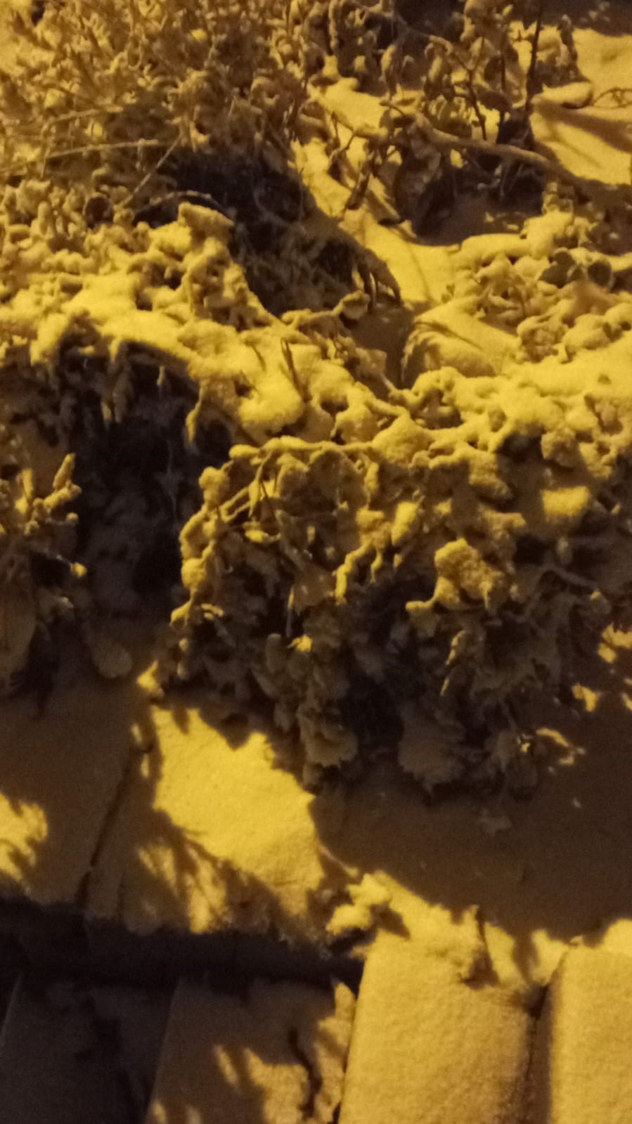 Aydın’a yılın ilk karı yağdı