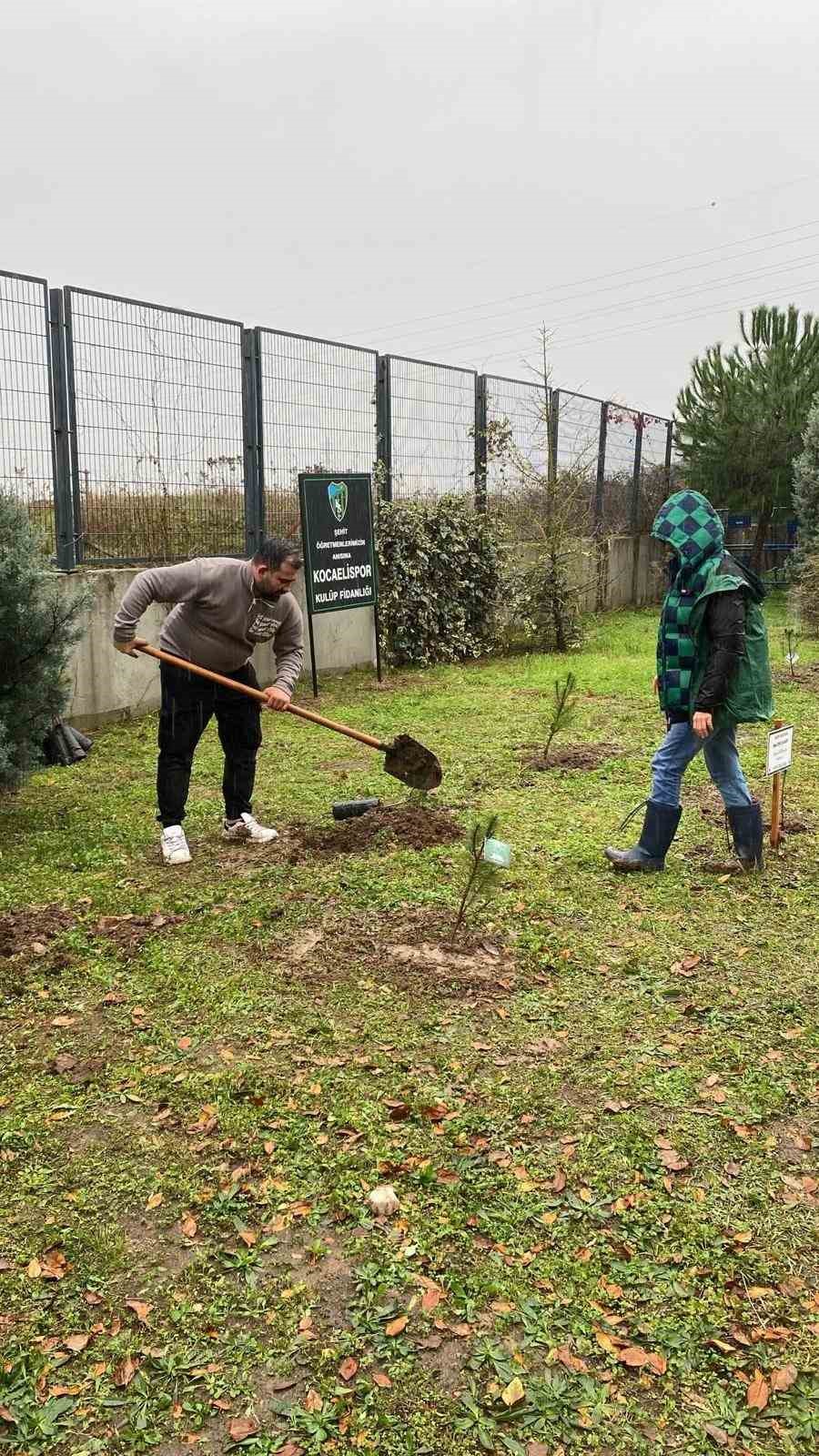 Şehit öğretmenler için stadyum çevresine ağaç diktiler
