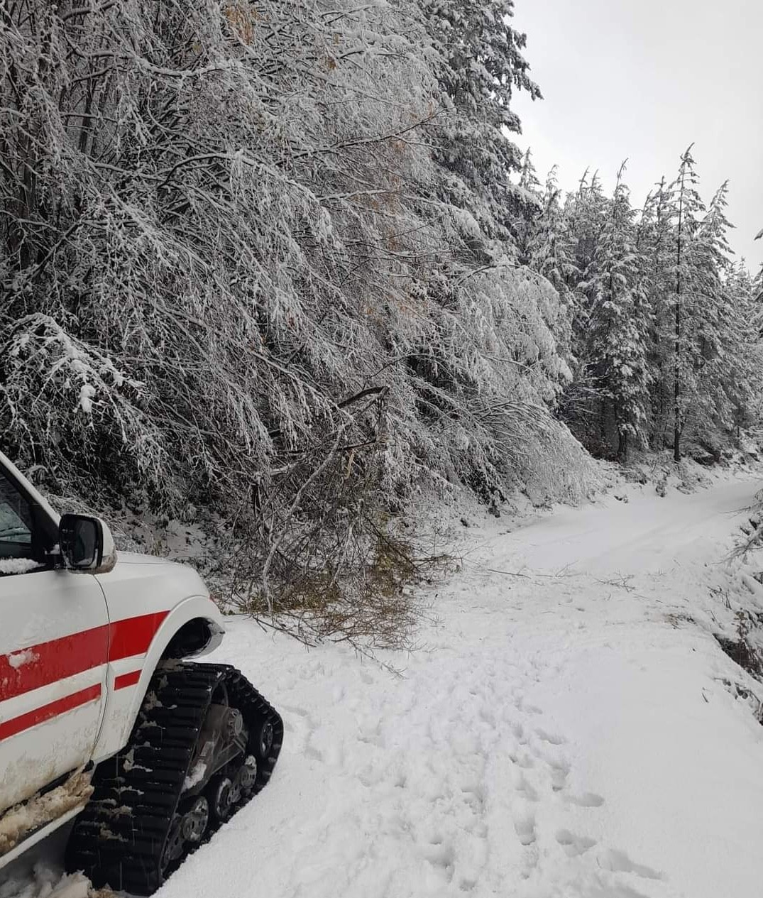 Kar sebebiyle mahsur kalan hasta paletli ambulansla hastaneye ulaştırıldı
