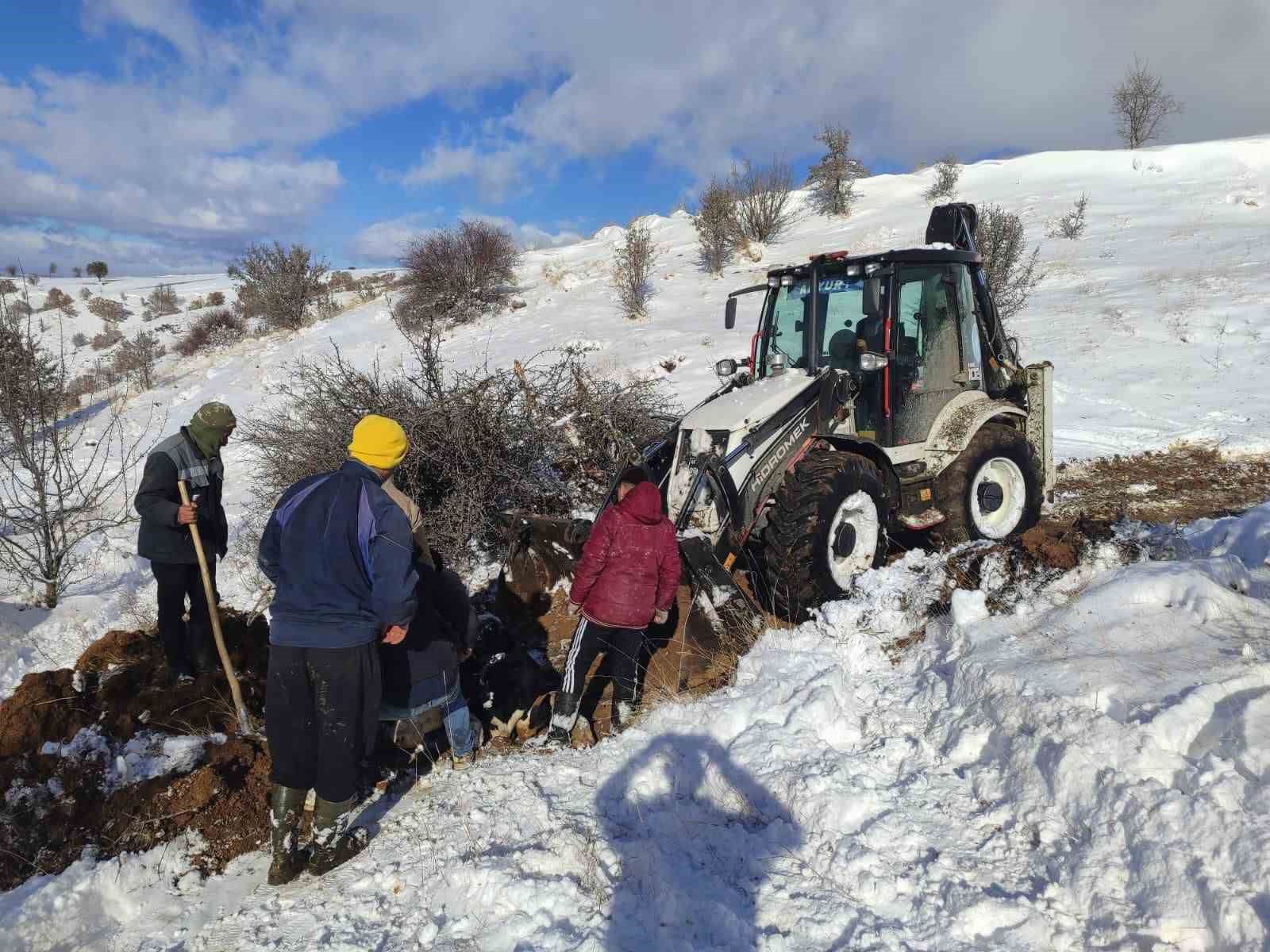 Dağda mahsur kalan hayvanlar kurtarıldı
