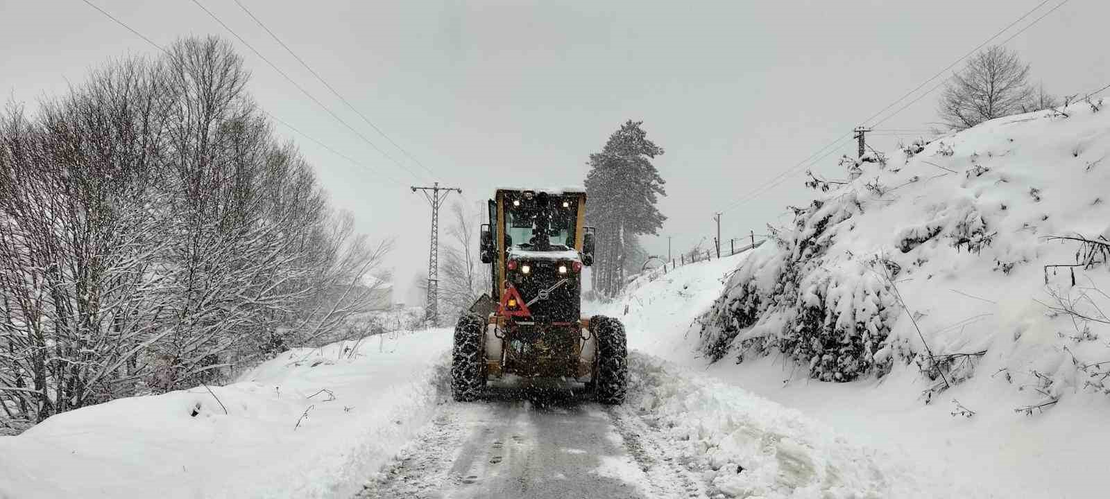 Ordu’da kar yağışı etkili oldu