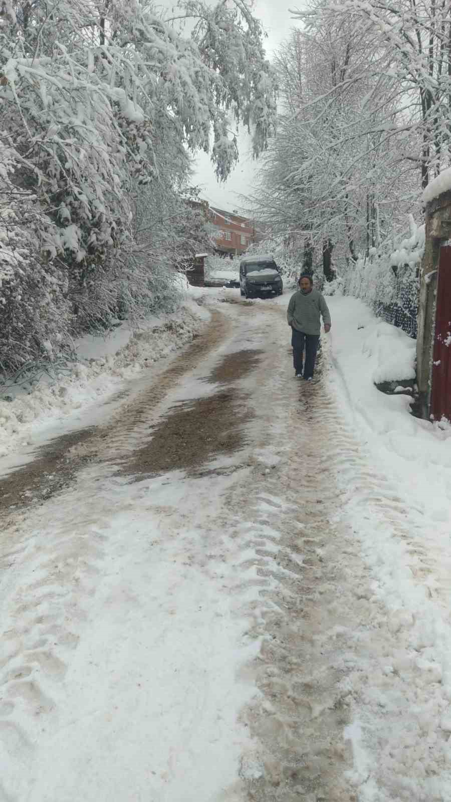 Sinop’ta fırtına ağaç devirdi, yol trafiğe kapandı
